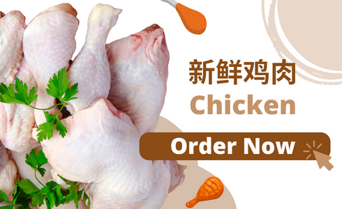 CHICKENS 新鲜鸡肉