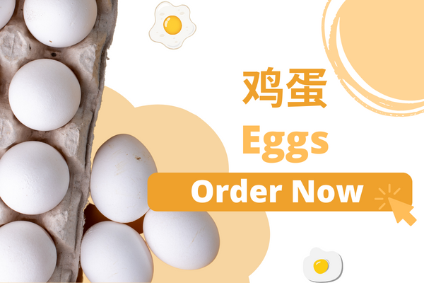 EGGS  鸡蛋