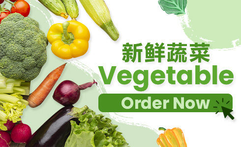 VEGETABLE   新鲜蔬菜